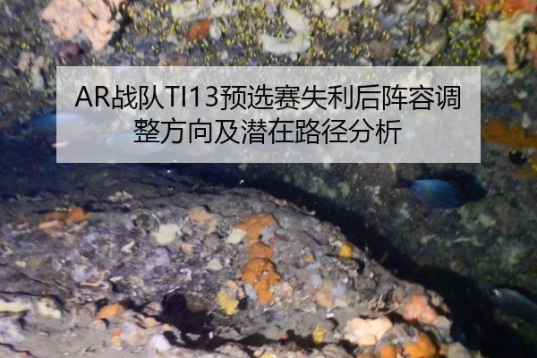 zhan-dui-yu-xuan-sai-shi-li-hou-zhen-rong-tiao-zheng-fang-xiang-ji-qian-zai-lu-jing-fen-xi-2-782.jpg