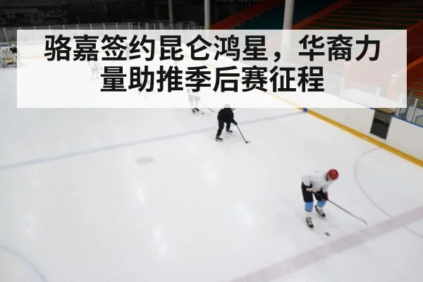 ice hockey rink