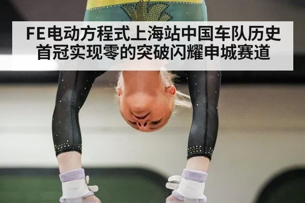 FE电动方程式上海站中国车队历史首冠实现零的突破闪耀申城赛道